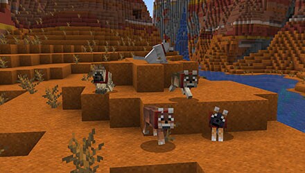 Discover the new wolf variations coming to Minecraft testing! There’s the ashen wolf, the chestnut wolf, the striped wolf, the spotted wolf… and more! Read about them in this article. 