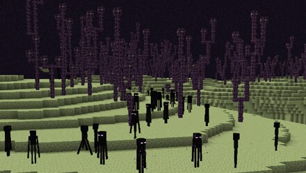 A field of chorus fruits and Endermen