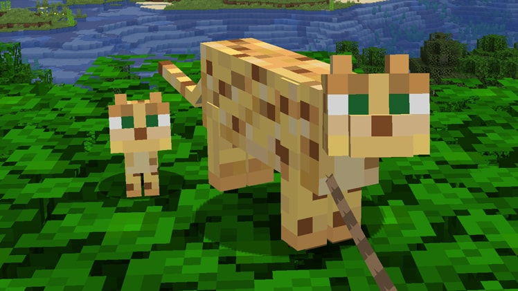 Taking Inventory Lead Minecraft