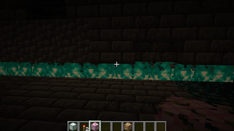 A cherry leaf block wall with soul fire beneath it.