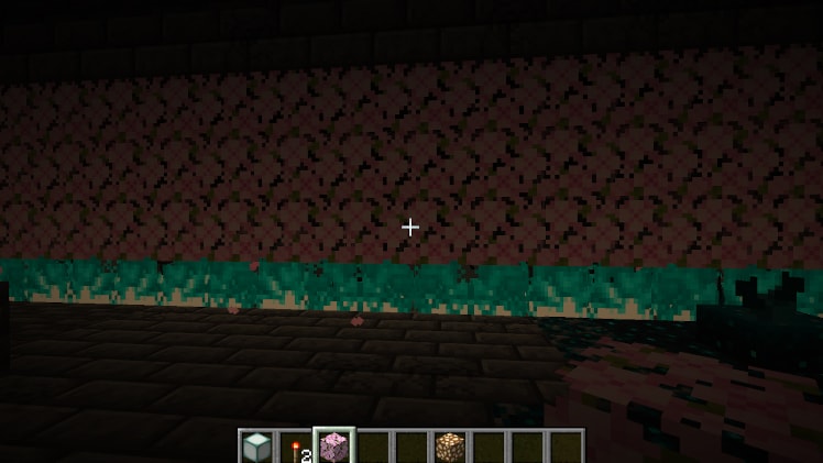 A cherry leaf block wall with soul fire beneath it.