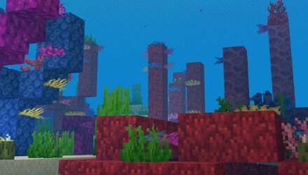 An article that takes a closer look at the Minecraft item "nautilus shell"