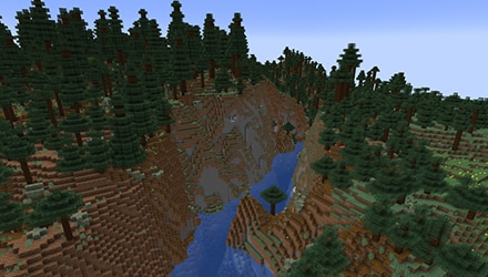 A picture of an expansive old growth taiga biome