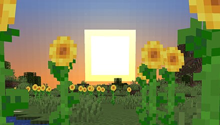 A sunflower plains biome during sunset