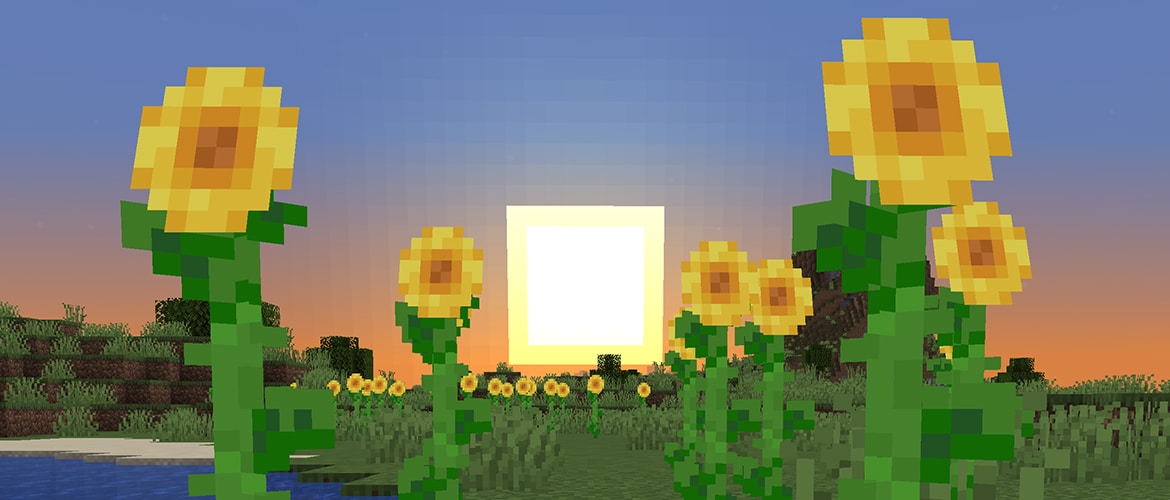 Around the Block Sunflower Plains Minecraft