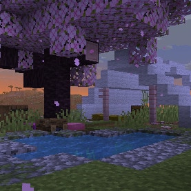 An abandoned campsite in a Cherry Grove biome with a small pool of water in the front. In the background, an orange sunset is visible.