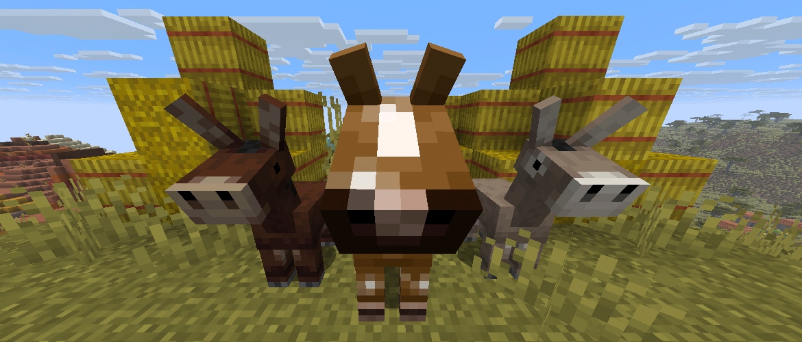 A closeup of a baby mule, foal, and baby donkey standing in front of hay bales