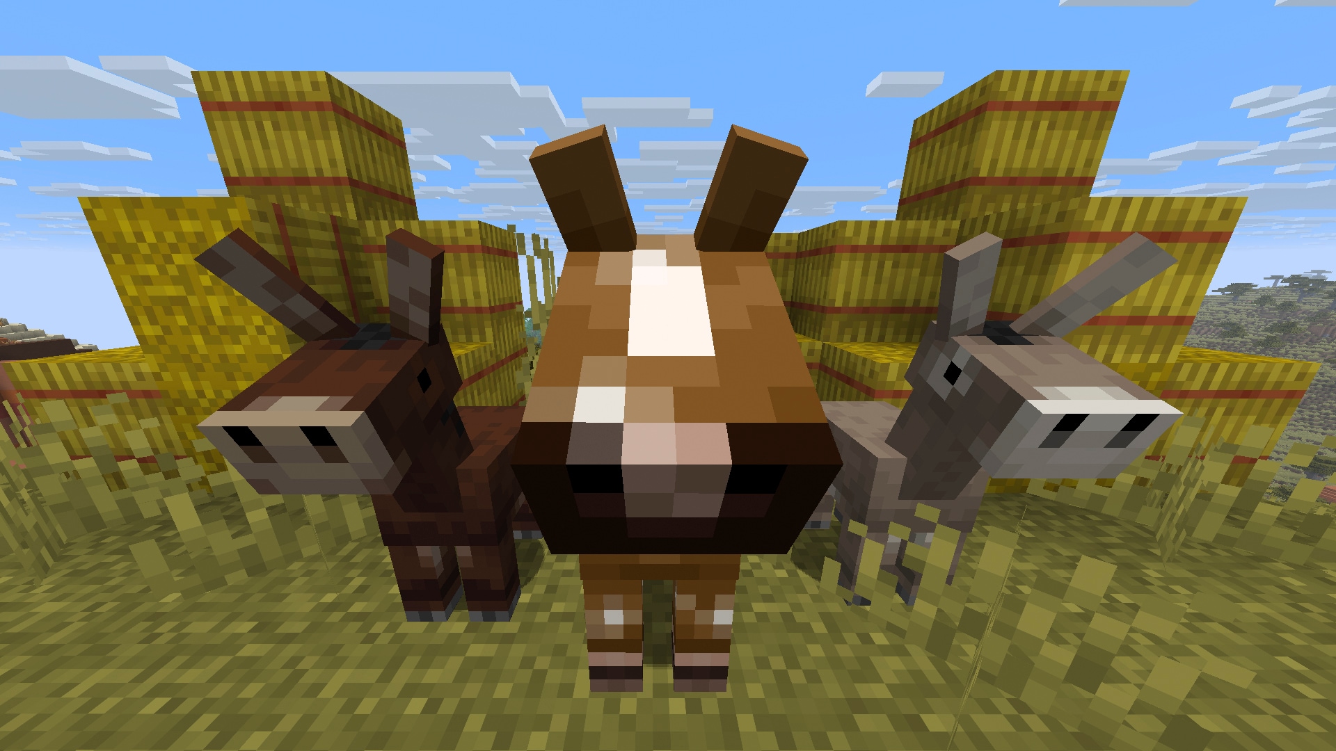 A closeup of a baby mule, foal, and baby donkey standing in front of hay bales