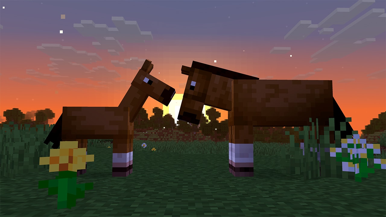 A foal and an adult horse face each other in a grassy field at sunset. The foal us smaller, stubbier, and lighter than the adult. 