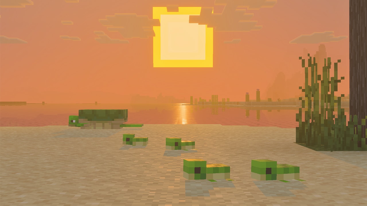 Tiny turtle hatchlings crawl across a sandy beach toward the ocean at sunset. The low sun reflects on the water, with reeds and driftwood nearby.