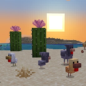 Minecraft Update