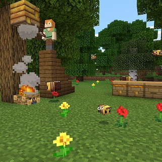 Alex harvests honey from a Beehive as bees hover around nearby flowers