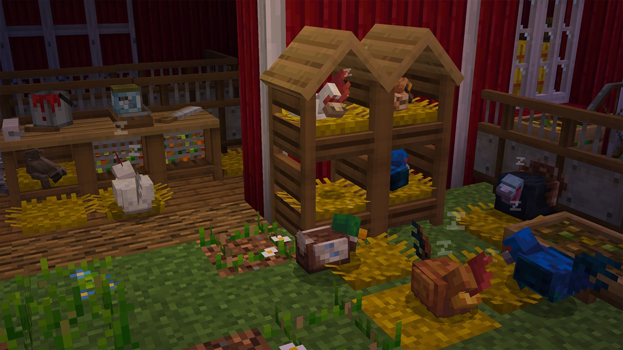 Chickens inside a chicken coup