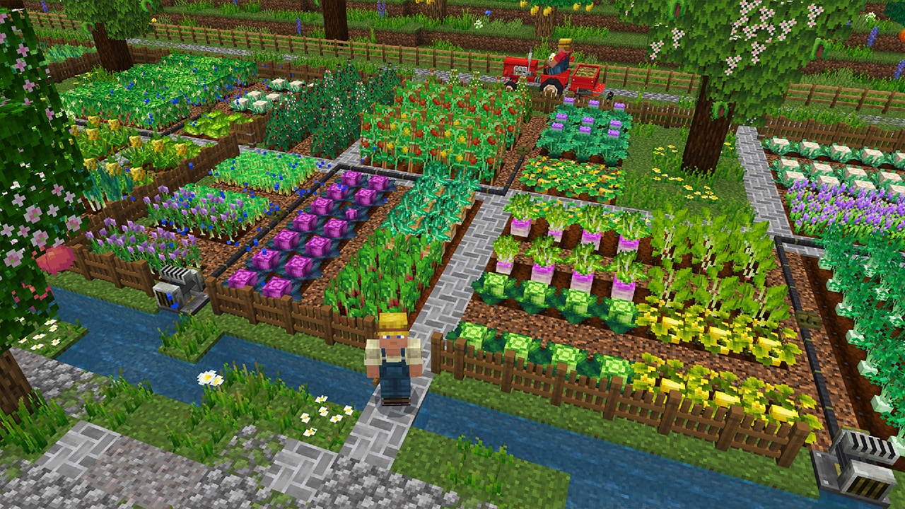 Farmer next to patches of produce