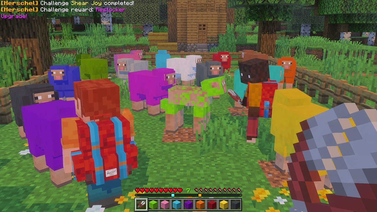 A player wearing a Herschel backpack completes a sheep-shearing challenge while standing among brightly colored sheep in a village pen.
