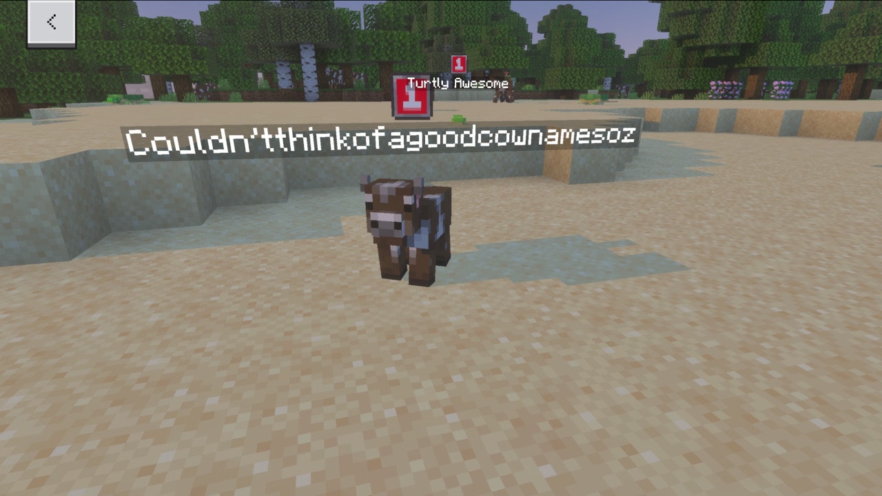 A cow named “Couldn’tthinkofagoodcownamesoz” stands on a sandy beach with a forest in the background, with a level indicator icon above its name.
