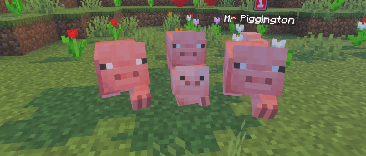 Four baby pigs stand close together on grassy terrain dotted with flowers; one is labeled “Mr Piggington” with a level indicator above its name, suggesting a group of tamed pet pigs.