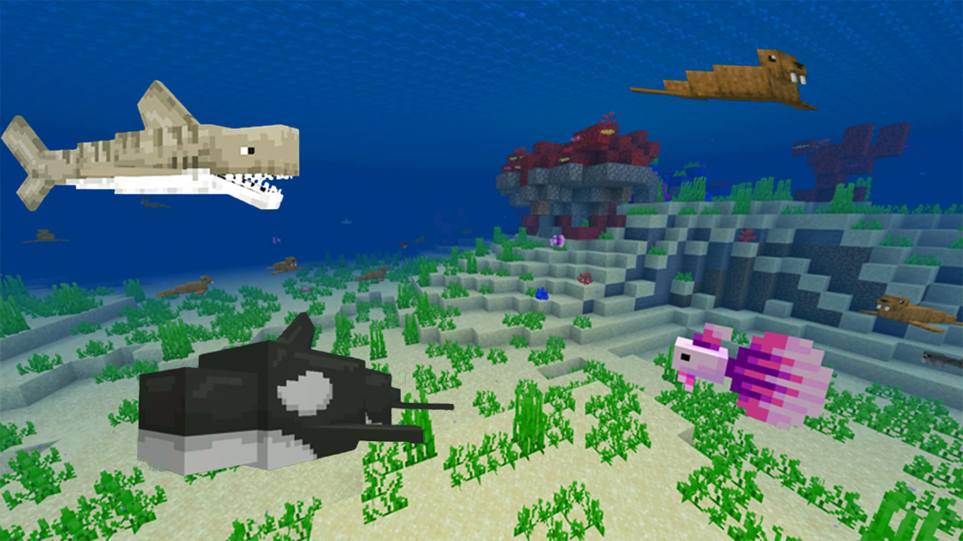 Several custom Minecraft sea creatures swim above coral reefs and seagrass on a colorful underwater ocean floor.