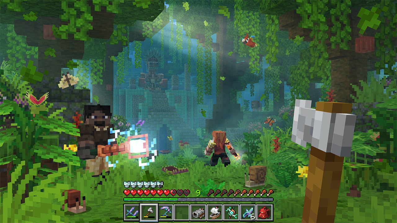 POV a person with an axe looking at a green forest