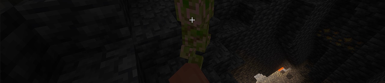 A screenshot of a player coming across a creeper in a dark cave! Ahhh!