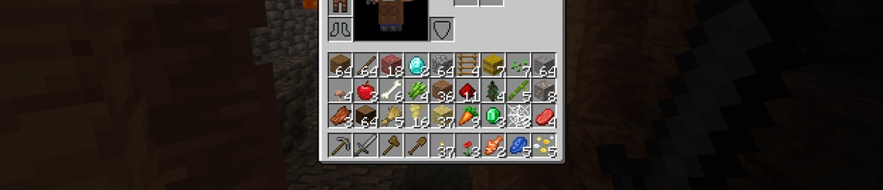 A screenshot of an inventory in Minecraft