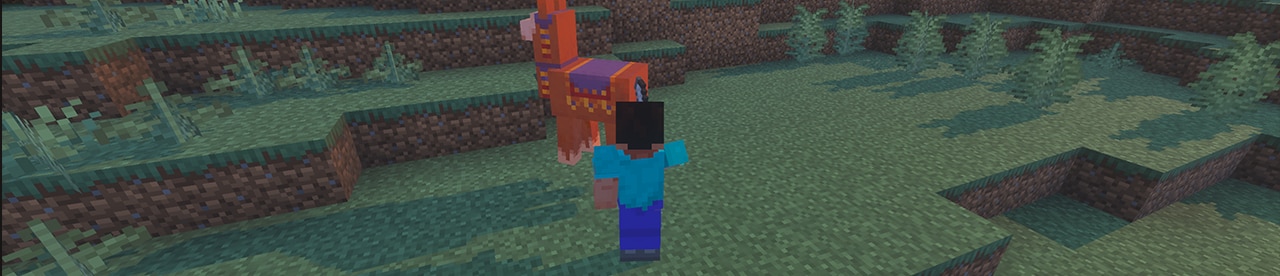 Sorry, llamas! This is a screenshot of a Minecraft player attacking a llama. 