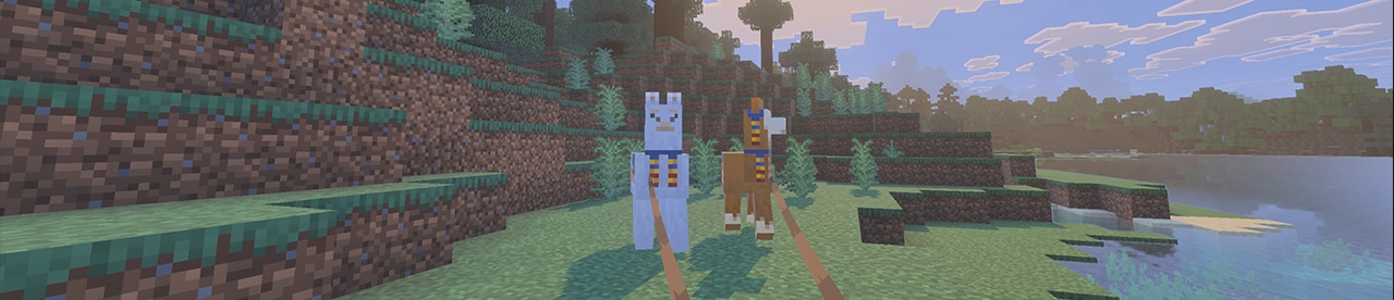 A screenshot of two really cute llamas in Minecraft that are definitely NOT being stolen by a player...