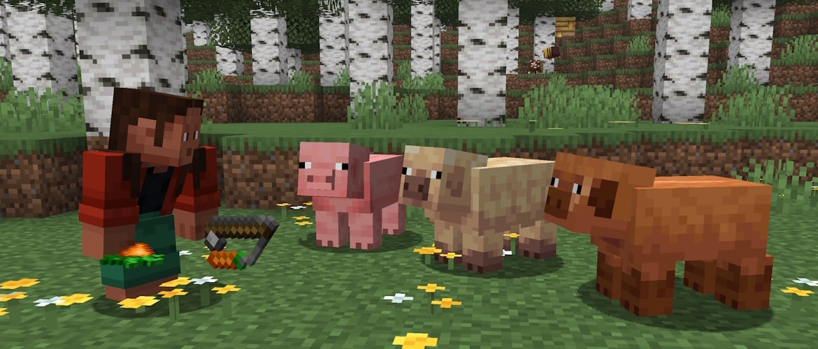 Noor is crouching in a Birch Forest, holding a Carrot and a Carrot on a Stick. Infront of them are a normal, warm, and cold Pig which are all looking at Noor. There are Bees carrying pollen to a Bee Nest in the background.