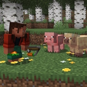 Noor is crouching in a Birch Forest, holding a Carrot and a Carrot on a Stick. Infront of them are a normal, warm, and cold Pig which are all looking at Noor. There are Bees carrying pollen to a Bee Nest in the background.