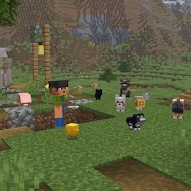 Sunny is standing in a village holding a name tag, surrounded by baby chickens, cats, wolves, pigs and cows.