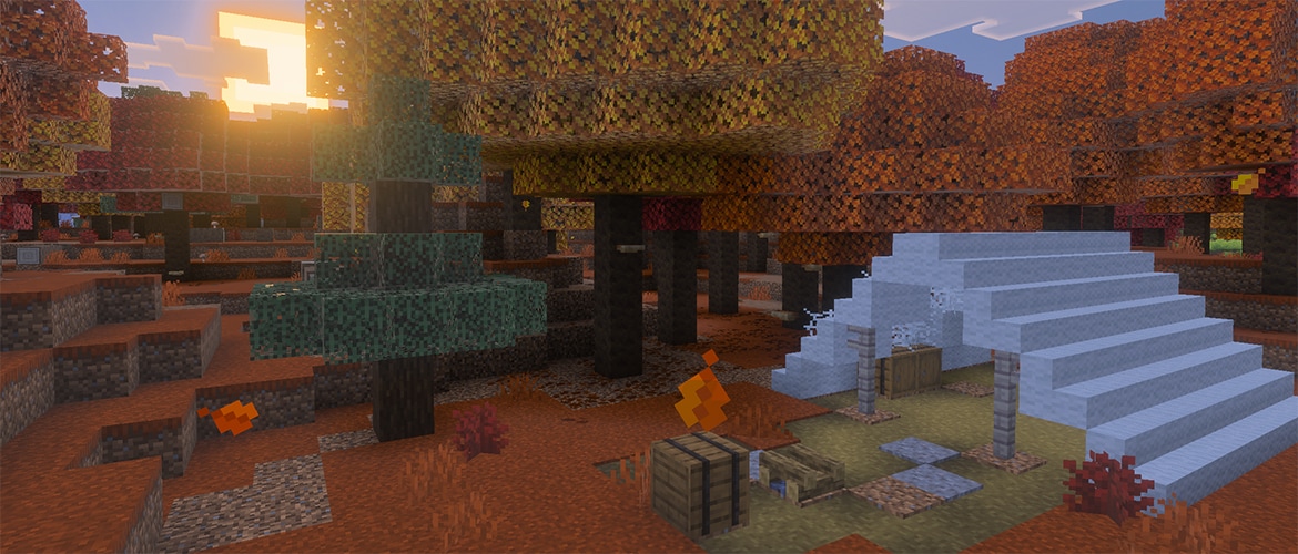 An abandoned camp in a dappled forest