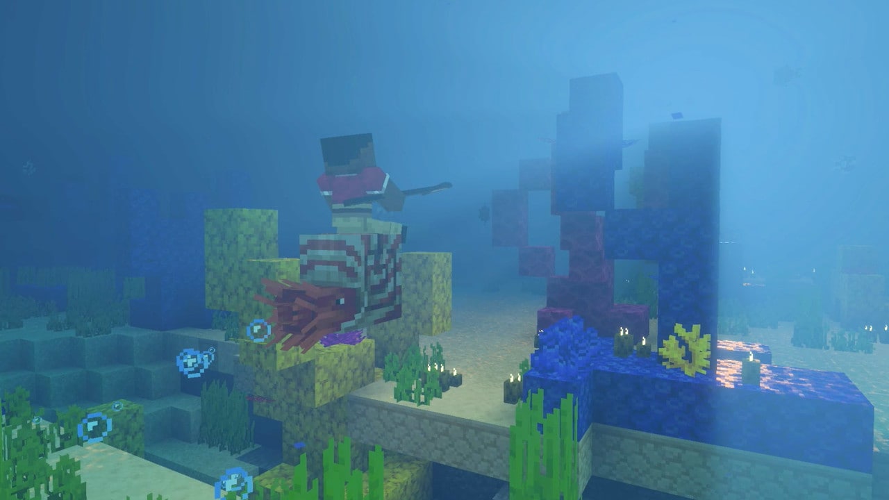 Meeting the nautilus underwater
