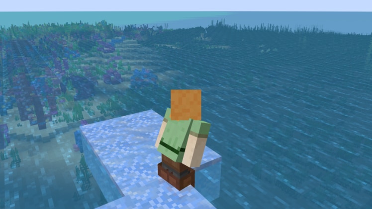 Alex standing on a bunch of ice blocks, overlooking a nearby coral reef.