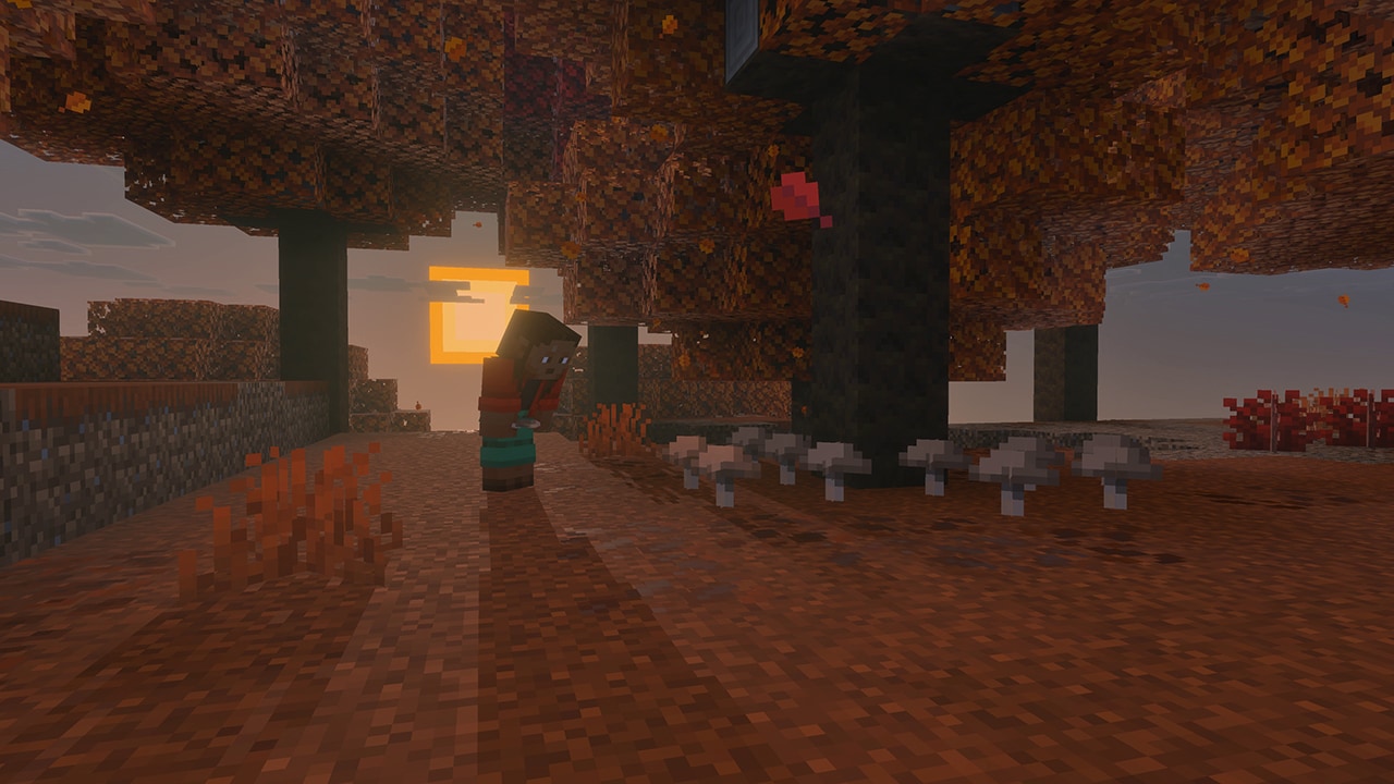 A screenshot of a player picking mushrooms in the dappled forest